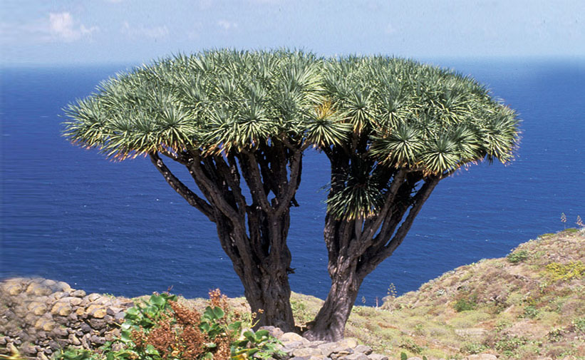 Traumhafte Designervilla mit eigenem Grundstück auf La Palma